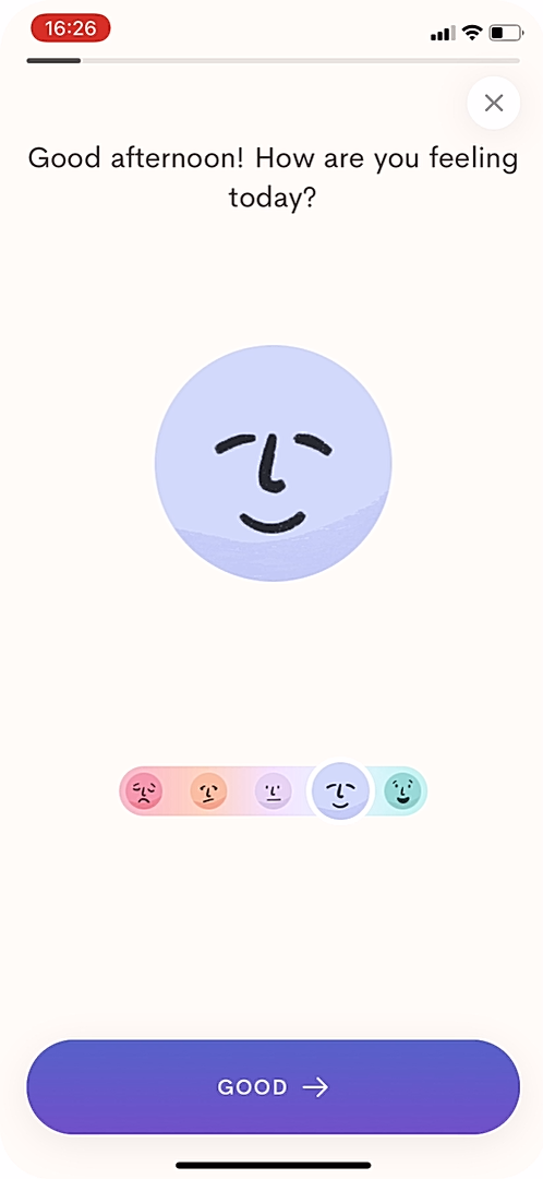 Jour - Completing a diary