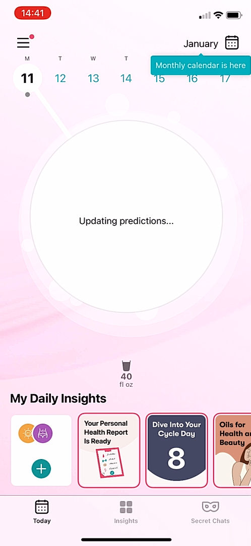 Flo - Completing a diary - Screen 4