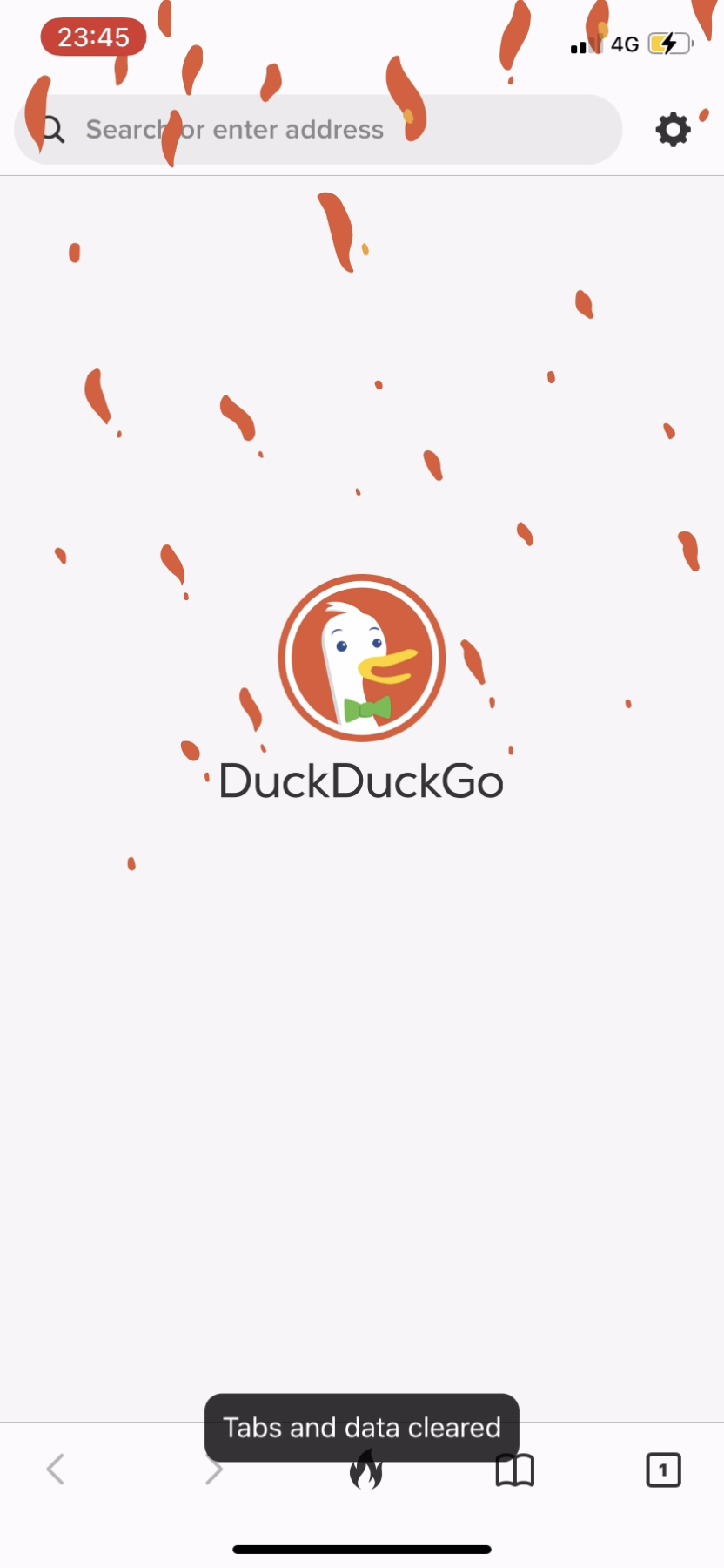 DuckDuckGo screenshot 13