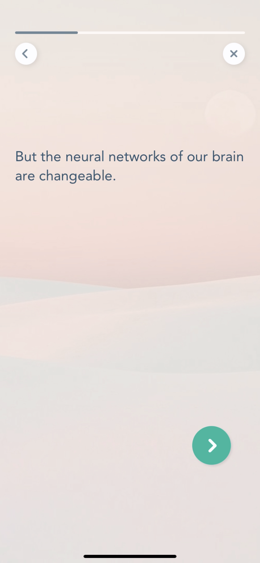 Bloom - Completing a diary - Screen 22