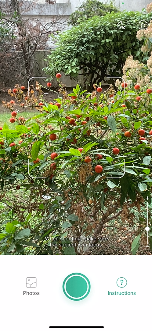 PictureThis screenshot 9