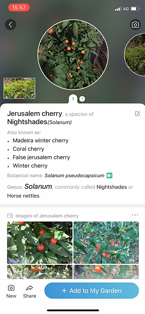 PictureThis screenshot 11