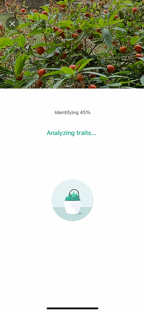 PictureThis screenshot 10