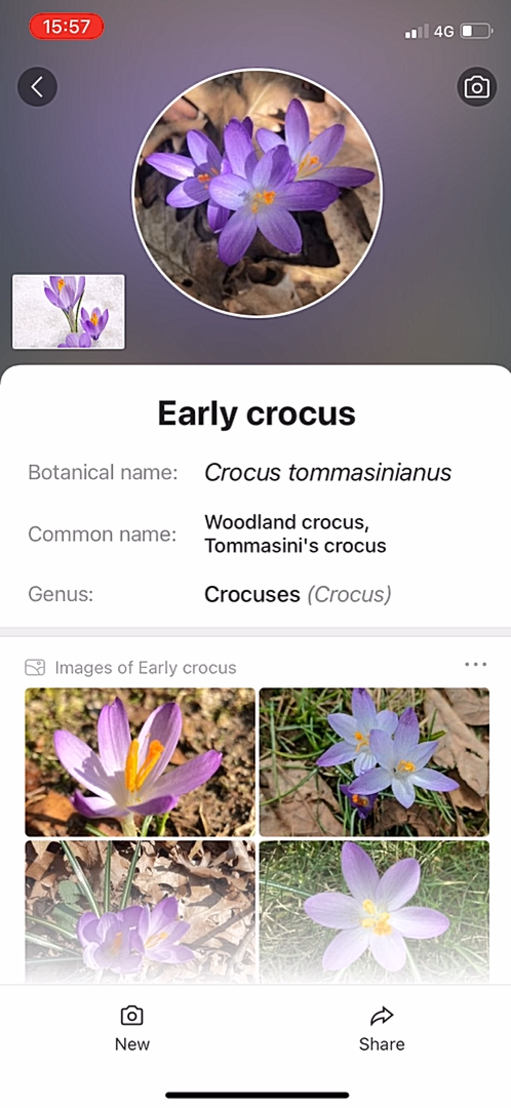 PictureThis screenshot 7