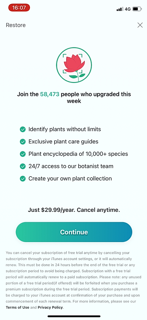 picturethis_upgrading_3