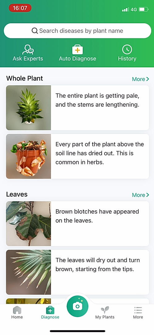 PictureThis - Navigation
