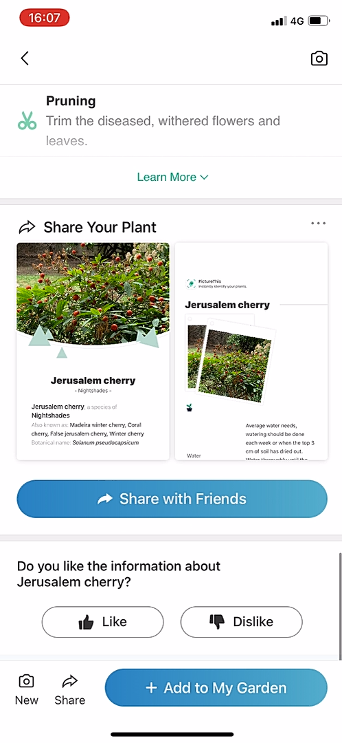 PictureThis - Adding something - Screen 8