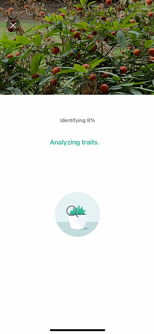 PictureThis - Adding something - Screen 3