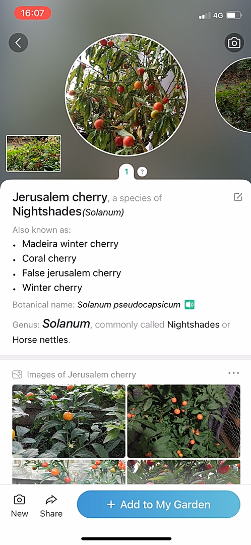 PictureThis - Adding something - Screen 4
