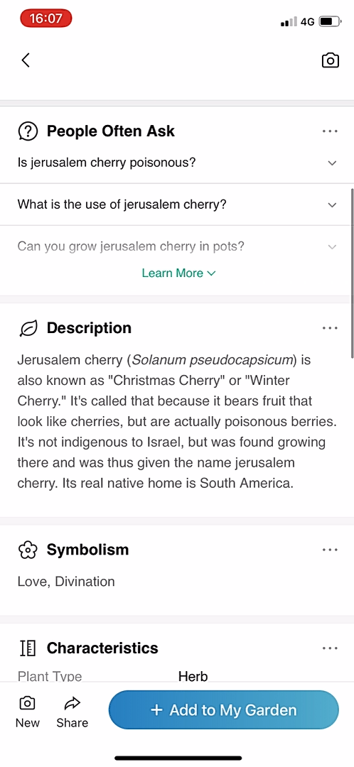 PictureThis - Adding something - Screen 5