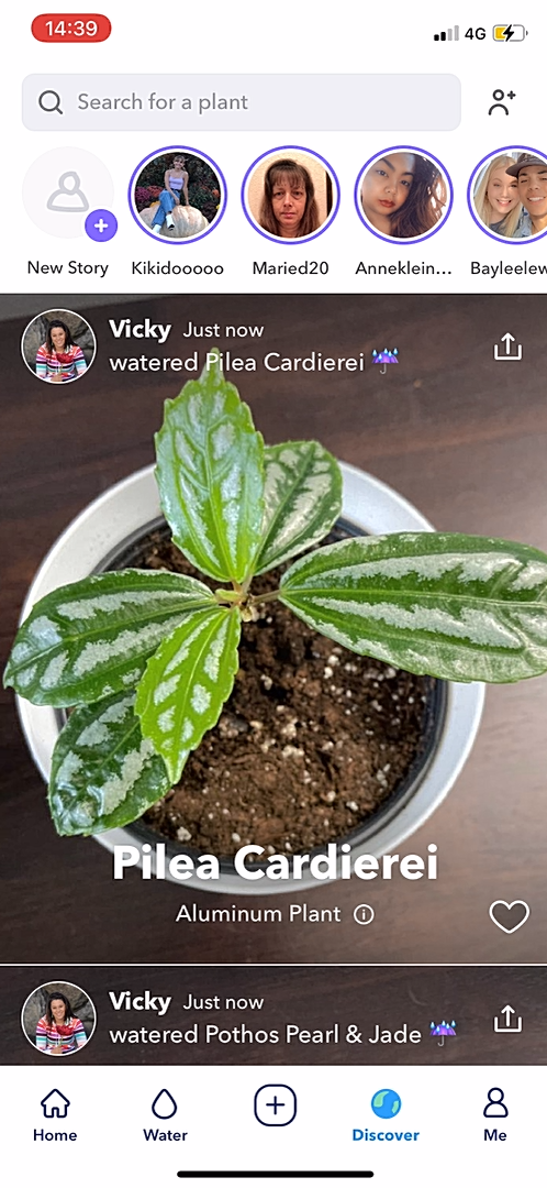 Greg - Navigation - Screen 3