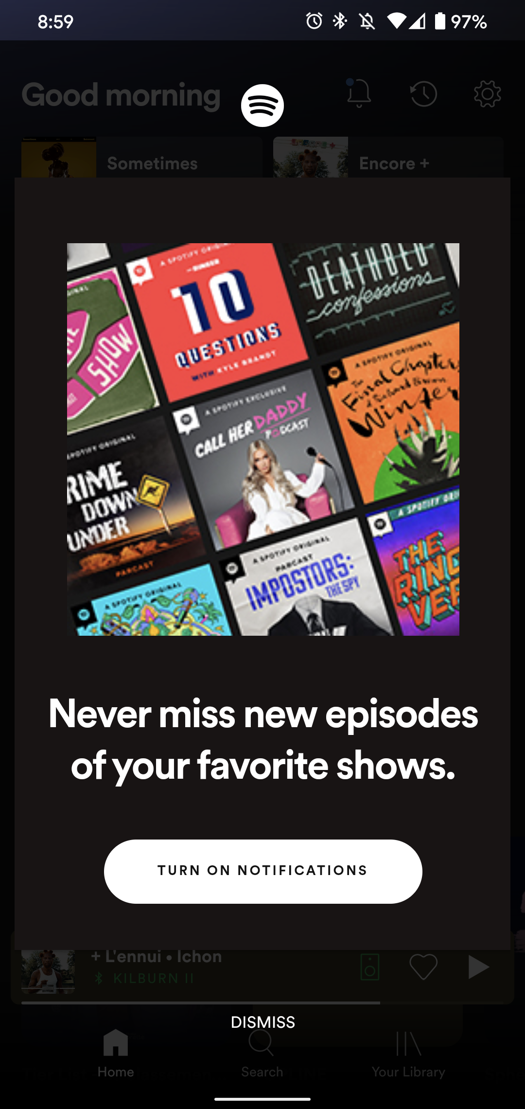 Spotify screenshot 1